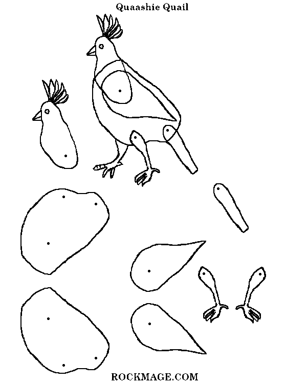 [Quail/Quaashie (pattern)]